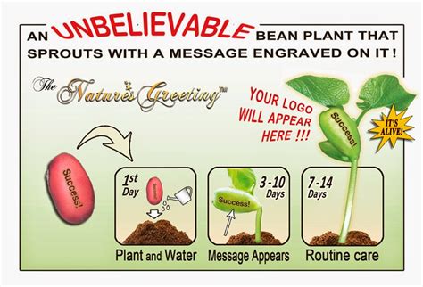 Magic bean message